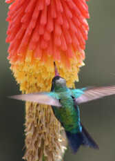 Foto 3 de la galería de Complejo Nimaja en Trapiche