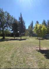 Foto 2 de la galería de CASA AMARILLA en San Rafael