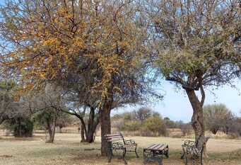 Foto 1 de la galería de Cabañas El Principio en Villa Cura Brochero