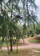Foto 2 de la galería de Cabañas El Principio en Villa Cura Brochero