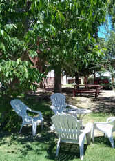 Foto 2 de la galería de Complejo Viejo Sulky en Mina Clavero