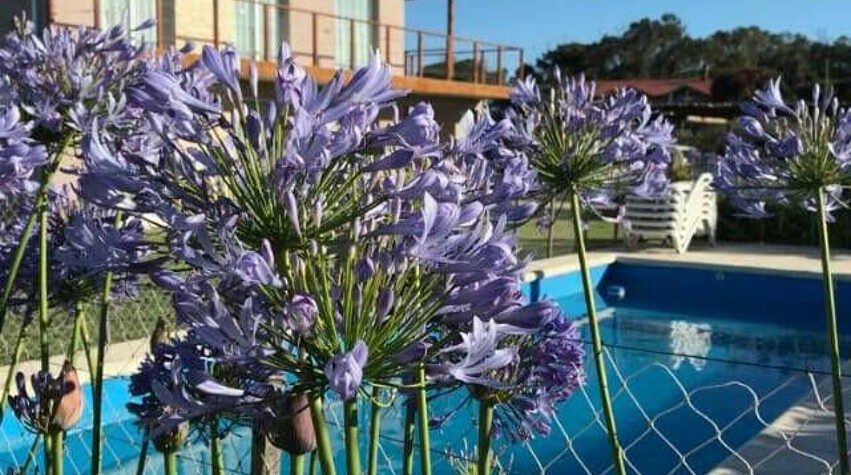 Foto principal de Radazul Apart de Mar & Campo en Chapadmalal