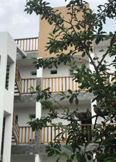 Foto 2 de la galería de Atlantico en Nueva Atlantis