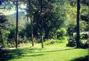 Foto 1 de la galería de Cabaña Río los Nogales en Yala