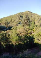 Foto 4 de El pungo en La Cumbre