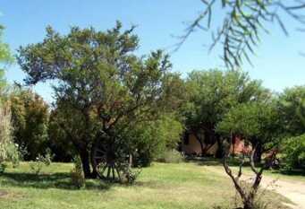 Foto 1 de la galería de Complejo Alpiedelchampaqui en Los Molles (San Javier)