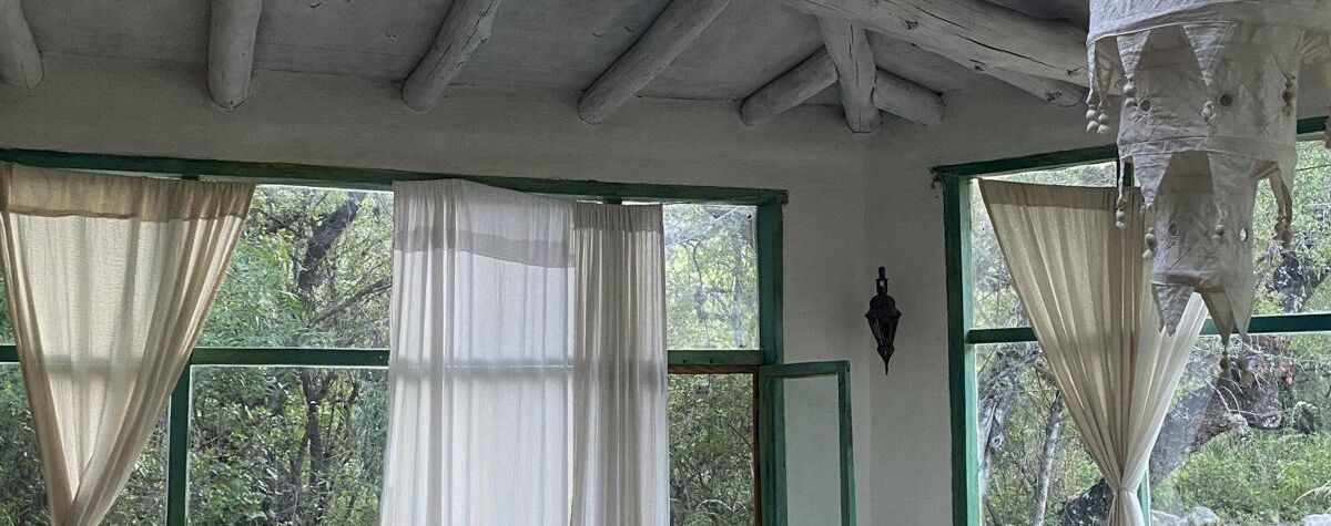 Foto principal de Cosmika en Nono