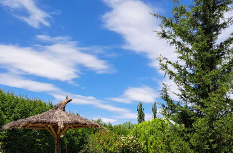 Foto principal de Cabañas Verde Nogal en Cuadro Benegas