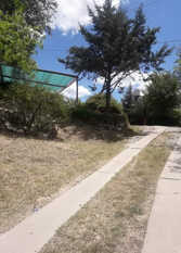 Foto 2 de la galería de La Casa De Araruna en Villa Carlos Paz