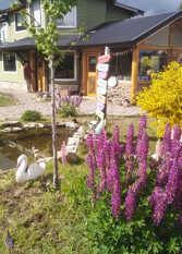 Foto 3 de Valle Encantado Cabañas en Lago Meliquina