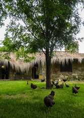 Foto 3 de la galería de Menta Y Peperina en Mina Clavero