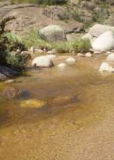 Foto 4 de Cabañas Río Dorado en Alpa Corral