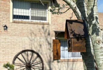 Foto 1 de la galería de Aroma de Campo Chascomus en Chascomus