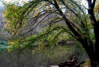 Foto 1 de la galería de Puerta del Viajero en Ciudad De Córdoba