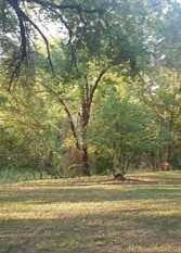 Foto 2 de la galería de Puerta del Viajero en Ciudad De Córdoba