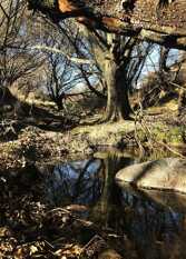 Foto 3 de la galería de Magico Ensueño Eco Lodge en Los Gigantes