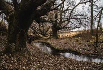 Foto 1 de la galería de Magico Ensueño Eco Lodge en Los Gigantes