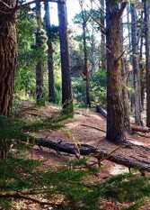 Foto 2 de la galería de Cabaña de Luz y Enrique en San Clemente Del Tuyú