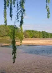Foto 2 de la galería de Cabaña Wangulen en Arroyo De Los Patos
