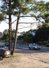 Foto 2 de la galería de Amarostende en Ostende