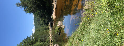 Rio del Medio