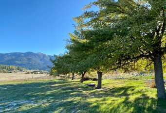Foto 1 de la galería de Loft Manzanos en San Martín De Los Andes
