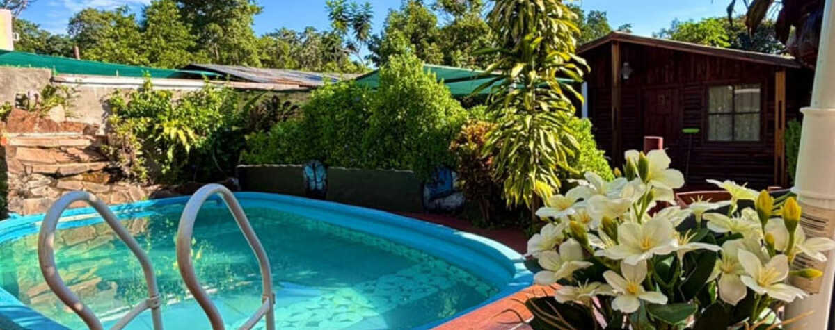 Foto principal de Cabañas Flores de Lapacho en Puerto Iguazú