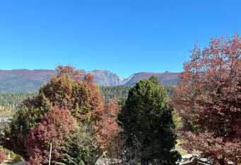 Foto 1 de la galería de Departamento Mallin Azul en El Bolsón