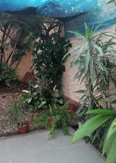 Foto 4 de Casa de Alejandra en Ciudad De Córdoba