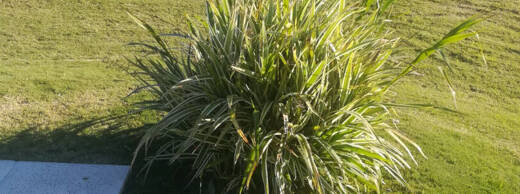 Foto 5 de Quinta Anael en Parana