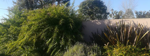 Foto 6 de Quinta Anael en Parana