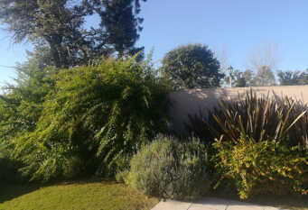 Foto 1 de la galería de Quinta Anael en Parana