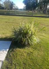 Foto 4 de Quinta Anael en Parana