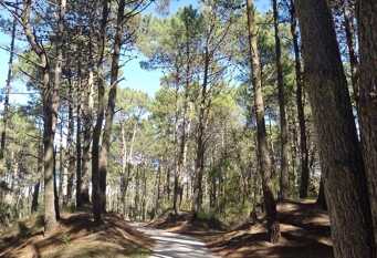 Foto 1 de la galería de Departamento en Pinamar en Pinamar