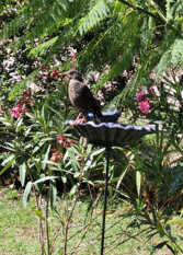 Foto 2 de la galería de Tu pausa en Villa De Merlo