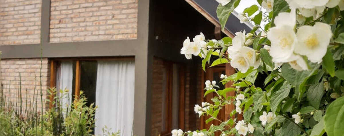 Foto principal de Maytenus en El Bolsón