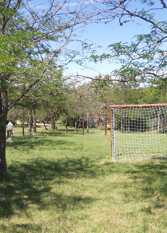 Foto 3 de la galería de Cabañas de Montaña Portal Del Tala en Alpa Corral