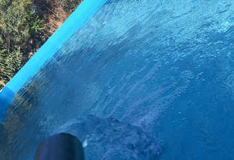 Foto 1 de la galería de Don Andres en Guaymallen