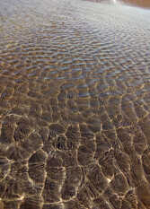 Foto 3 de la galería de Cabañas Albatros Sauce Grande en Monte Hermoso