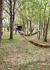 Foto 3 de la galería de Cabañas Alisos del Río en Diamante