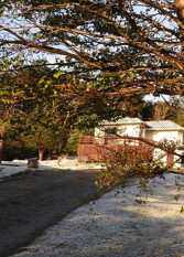 Foto 2 de la galería de Cabañas Del Martial en Ushuaia