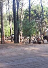 Foto 2 de la galería de Dúplex Suspiros del Bosque en Mar Azul