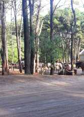 Foto 2 de la galería de Dúplex Suspiros del Bosque en Mar Azul