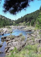 Foto 3 de la galería de Quebrada del Silencio El Durazno Valle de Calamuchita en El Durazno