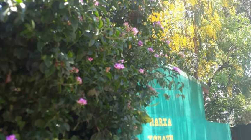 Foto principal de Maria Iguazú en Puerto Iguazú