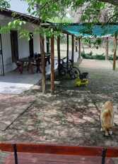 Foto 3 de la galería de Aguaribay casa de campo en Parana