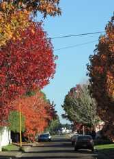 Foto 4 de Complejo Federación Norte en Federacion