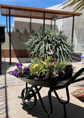 Foto 2 de la galería de Alquiler Violeta en Puerto Madryn