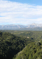 Foto 2 de la galería de Cabañas Las Grullas en El Bolsón