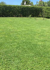 Foto 2 de la galería de Altos de Mar y Sol en Mar Del Plata